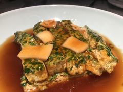 鲍菇扒野菜豆腐-雀蓝川菜(奥体广场店)