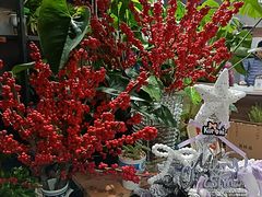 -何兮花店·气球派对鲜花店(马桥银春路万科城店)