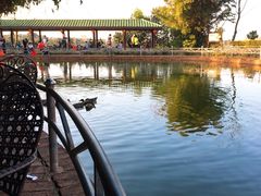 -侯臣咖啡文化村