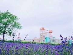 -季高兔窝窝亲子园(上海薰衣草公园店)