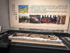 -巴音郭楞蒙古自治州博物馆