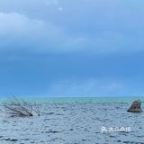 青海湖