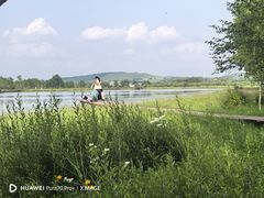 -御道口草原森林风景区