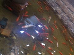 -弘医堂中医院