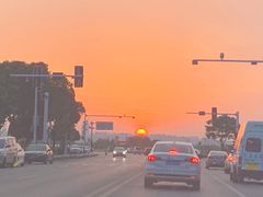 -合肥滨湖国家森林公园