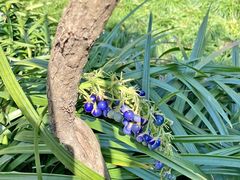 -上海浦西万怡酒店