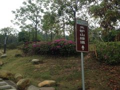 -火炉山森林公园
