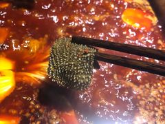 -凤来栖·净庭院·火锅(欧尚店)