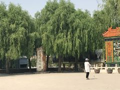 -白洋淀景区