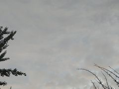 -金春禧·鲁菜海鲜(延吉路万达店)