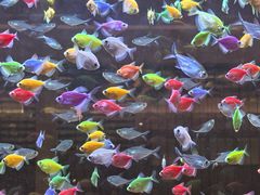 -大江户·温泉洗浴(浑南店)