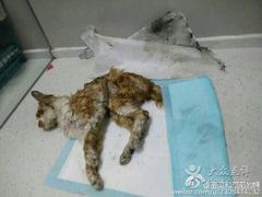 盛京一禾-盛京一禾