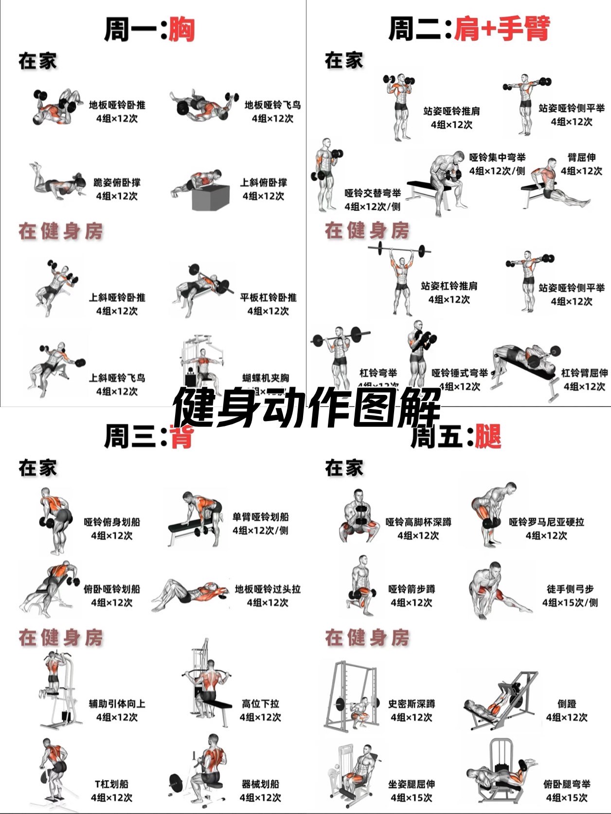 如何正确合理的运动