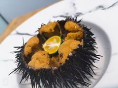 海胆-南山酒肆(南山董事绘店)