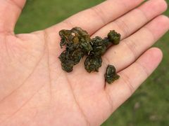 -白塘生态植物园