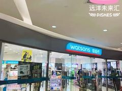 -远洋未来汇