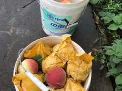 -南汇新场正宗水蜜桃采摘