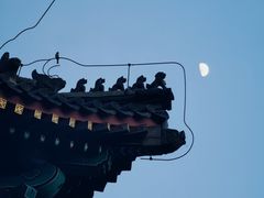 -云岗森林公园