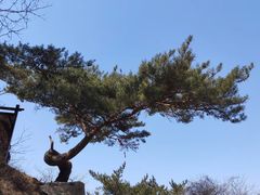 -金龙寺国家森林公园