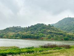 -风云岭森林公园
