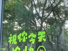 -上海滨江森林公园