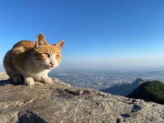-泰山风景名胜区
