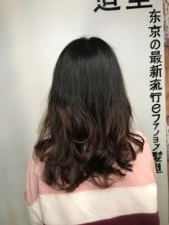 -藤野造型