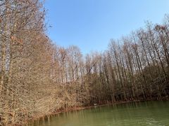 -上海海湾国家森林公园