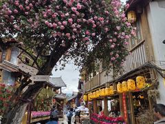 -民食香·腊排骨野生菌美食(木府店)