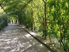 -红螺寺