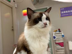 -怪兽屋·羊驼·猫咖·狗咖(俊华广场店)