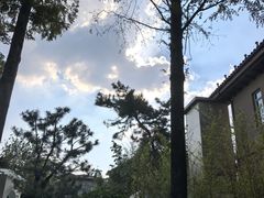 -芭东小镇温泉