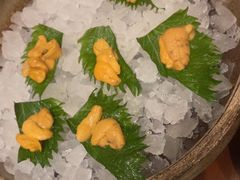 -月龍吟(朝龙汇店)