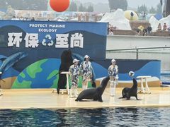 -秦皇岛乐岛海洋王国