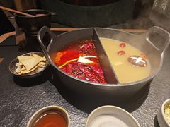 -大龙燚·旷野鲜火锅(广州首店)