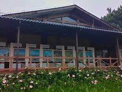 -海珠湖公园