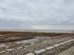 -南汇嘴观海公园