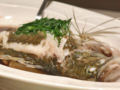 -金河半岛园林酒家(金融城店)