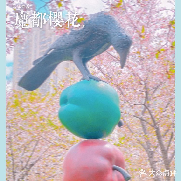 攻略 | 静安区0元不排队赏樱🌸保姆级指南建议收藏