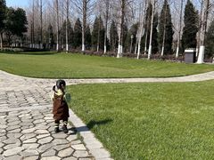 -合肥滨湖国家森林公园