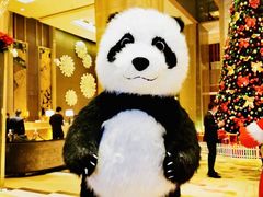 -粤海喜来登酒店·盛宴海鲜牛排自助餐厅(天河城店)