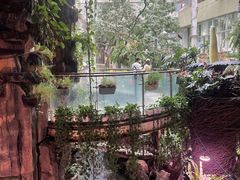 -正佳雨林生态植物园