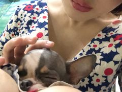 -藦茜花园宠物主题亲子互动体验馆(国顺东路店)
