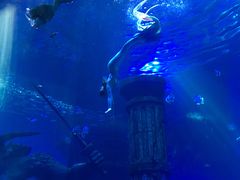 -波塞冬旅游度假区