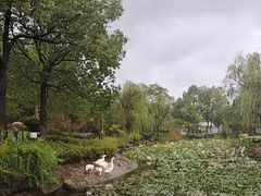 -宁波九龙湖开元度假村