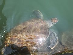 -海上驿站渔家菜馆