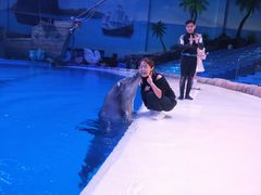 -华夏文旅海洋公园