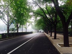 -钓鱼台国宾馆