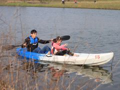 -春花秋色城市公园