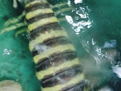 iphone_upload_pic-蓝湾碧波·老字号·疍家非遗海上餐厅